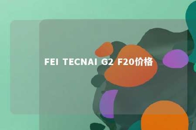 FEI TECNAI G2 F20价格 
